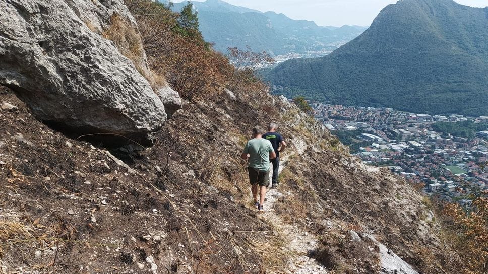 Monte Moregallo, 250 ettari bruciati: «La natura ripartirà, ma servirà tempo»