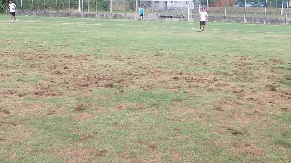 Carenno: campo di calcio distrutto dallo scarabeo giapponese