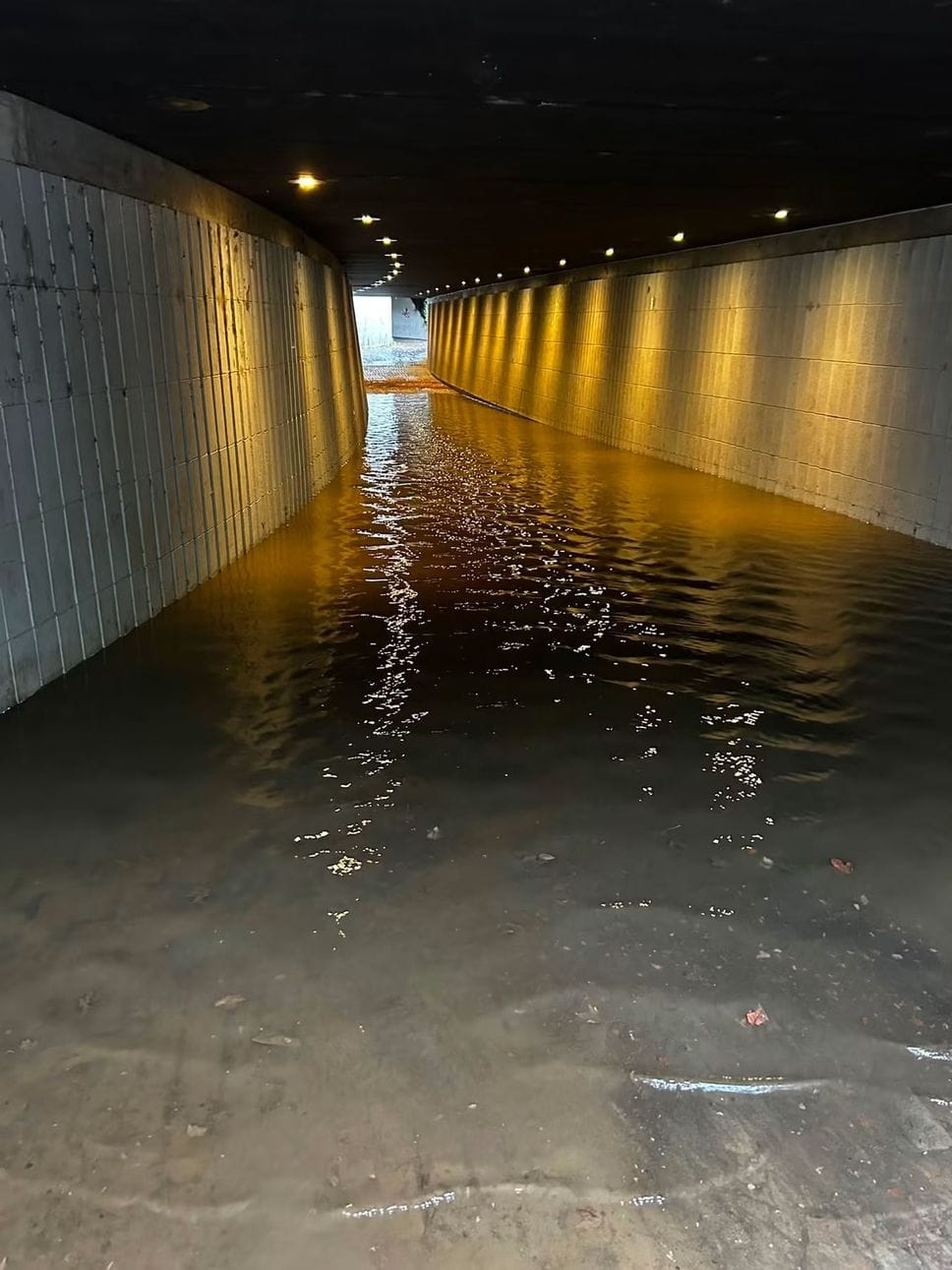 Maltempo in Valtellina, allagamenti e torrenti in piena