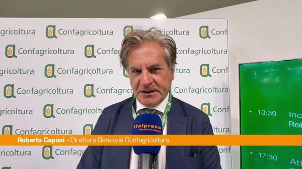 Immagine per italpress-Vq0W