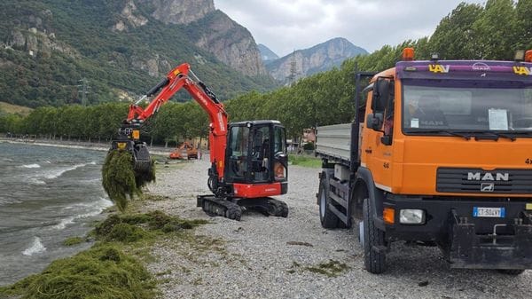 Vercurago, alghe sulla spiaggia: al via la rimozione