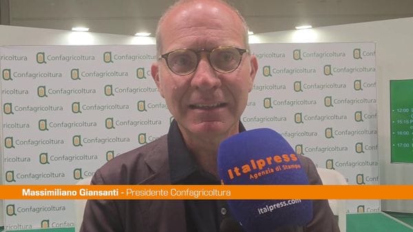 Immagine per italpress-yBM7