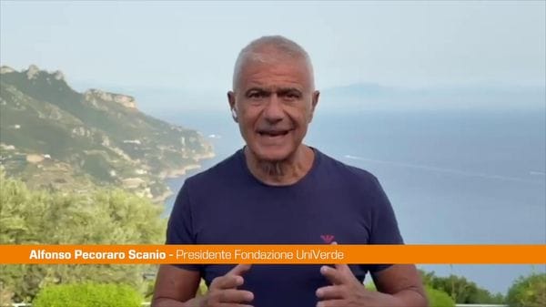 Immagine per italpress-9oX3