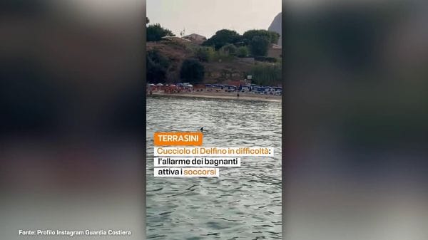 Immagine per italpress-BAEJ