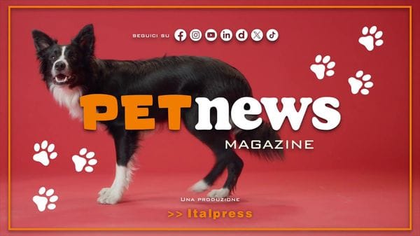 Immagine per italpress-qqRy