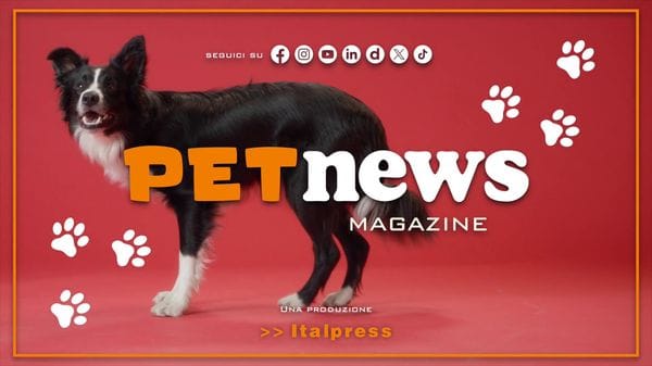 Immagine per italpress-Pklz