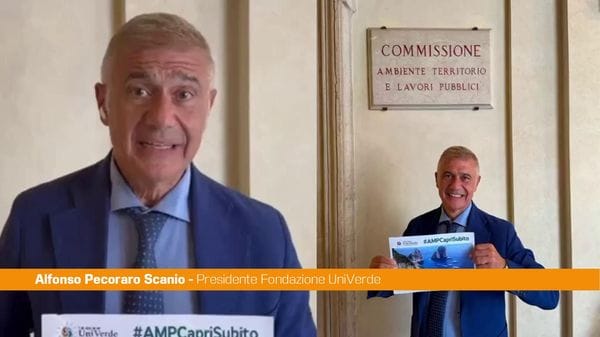 Immagine per italpress-Pk16