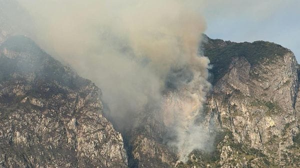 Moregallo devastato dalle fiamme: in fumo boschi e fauna selvatica