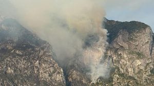 Moregallo devastato dalle fiamme: in fumo boschi e fauna selvatica