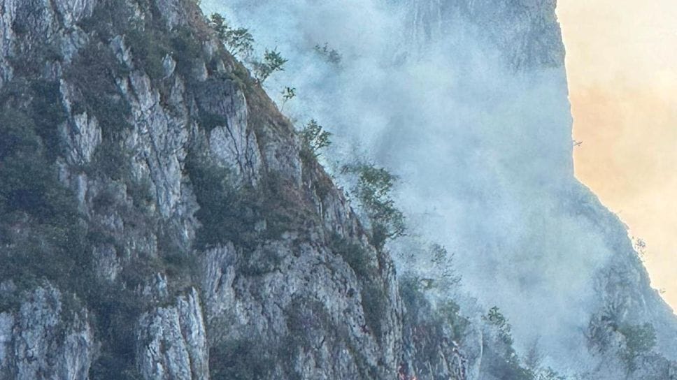 Moregallo, già ingenti i danni al patrimonio boschivo