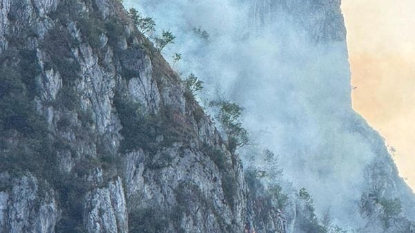 Moregallo, già ingenti i danni al patrimonio boschivo