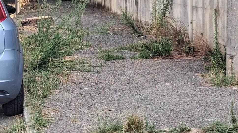 Calolziocorte, «Erba alta e marciapiedi impraticabili in via Grandi»