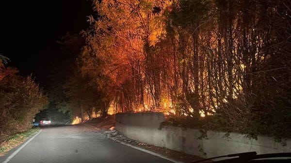 Incendio tra Gordona e Samolaco: il fuoco sfiora la Boggia