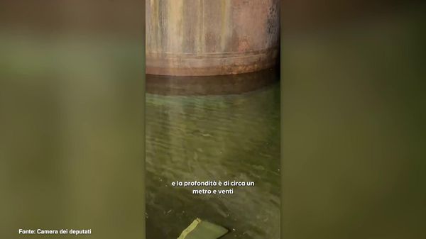 Immagine per italpress-xAnl