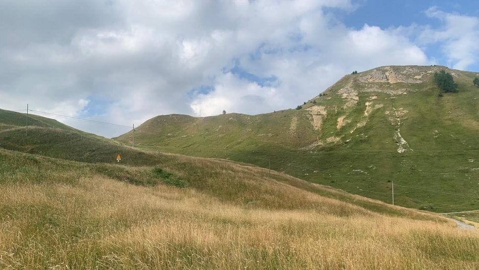 Caldo, alpeggi in difficoltà: possibile rientro anticipato