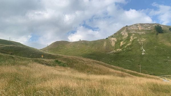 Caldo, alpeggi in difficoltà: possibile rientro anticipato