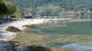 Vercurago, assalto al Lido nonostante le montagne di alghe