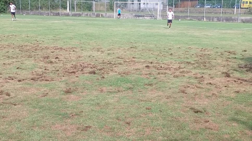 Carenno: campo devastato dalla Popilia. Serviranno almeno 13mila euro