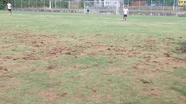 Carenno: campo devastato dalla Popilia. Serviranno almeno 13mila euro