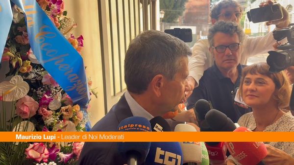Immagine per italpress-7mG1