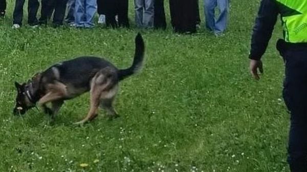 Lecco, in azione la nuova unità cinofila: controlli e sequestri di droga