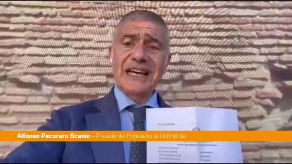 Immagine per italpress-DD3q