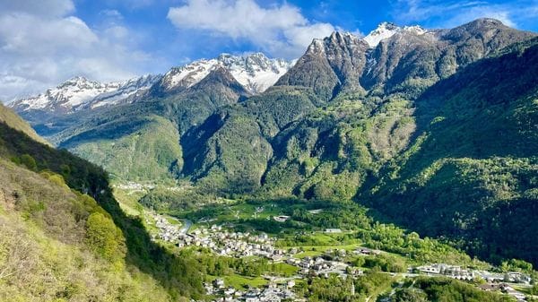 Piuro, al via la filiera bosco-legno: 198 ettari di foreste verso la gestione attiva