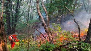 Gordona, dopo l’incendio riapre la pesca sul Mera ma solo su una sponda