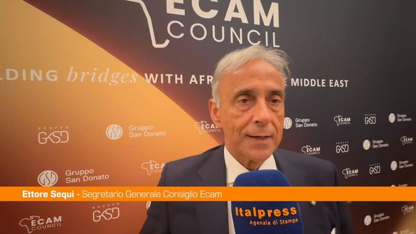 Immagine per italpress-2m4P