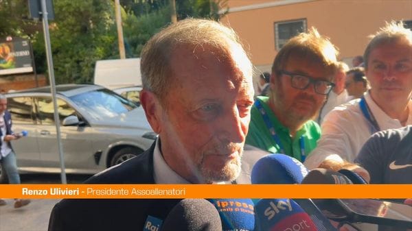 Immagine per italpress-OnYG