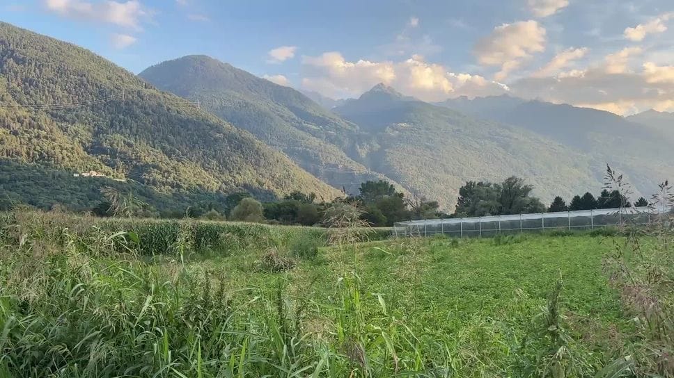 Ranèe, il Comitato incalza il Pd: «Servono audizioni sul progetto di Bianzone»