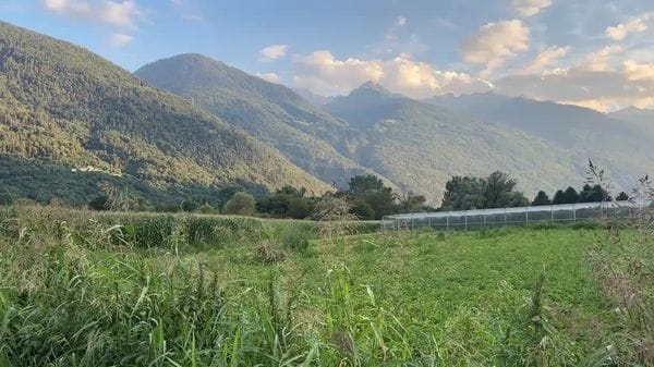 Ranèe, il Comitato incalza il Pd: «Servono audizioni sul progetto di Bianzone»