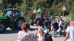 Migliaia di visitatori alle Manifestazioni Zootecniche Valsassinesi: sfilate e confronti nella tradizione
