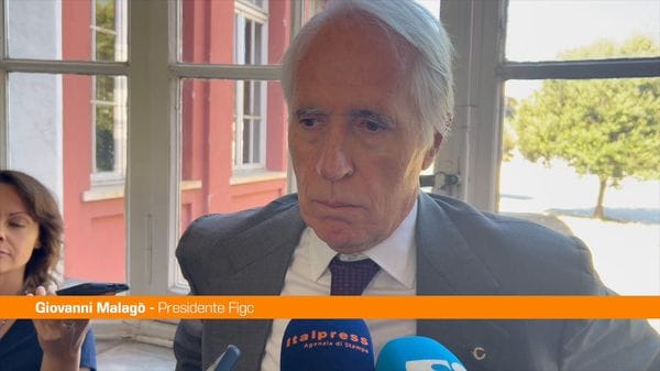 Immagine per italpress-2mvj