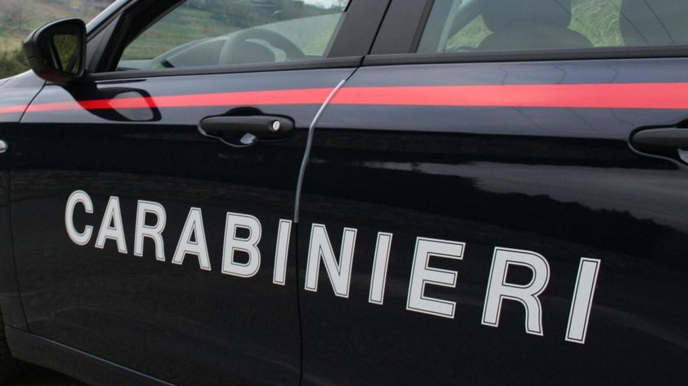 Olginate, bassotto aggredito e ucciso da due cani 