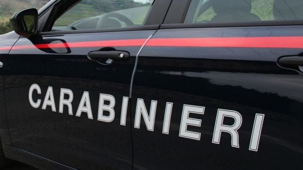 Olginate, bassotto aggredito e ucciso da due cani 
