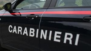 Olginate, bassotto aggredito e ucciso da due cani 