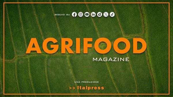 Immagine per italpress-3n69