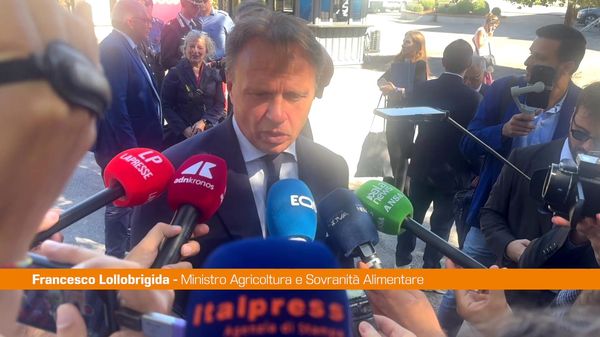 Immagine per italpress-vyrL
