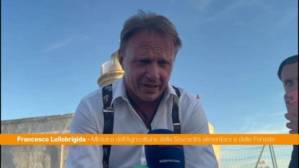 Immagine per italpress-wzwg