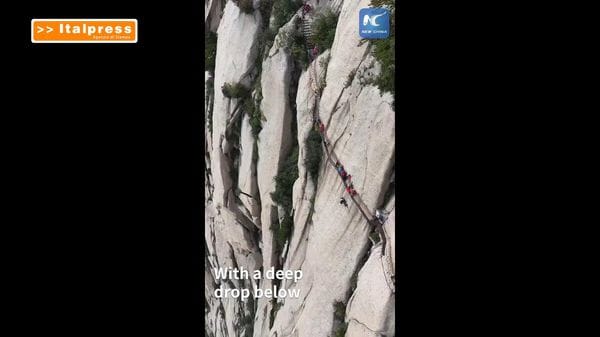 Immagine per italpress-0Nr3