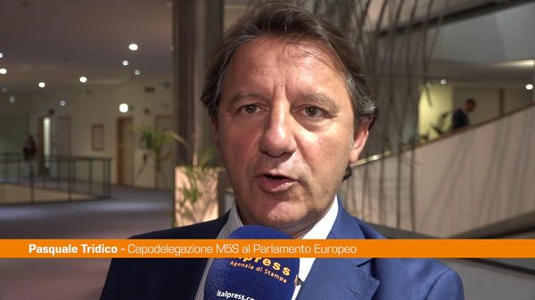 Immagine per italpress-n0WP