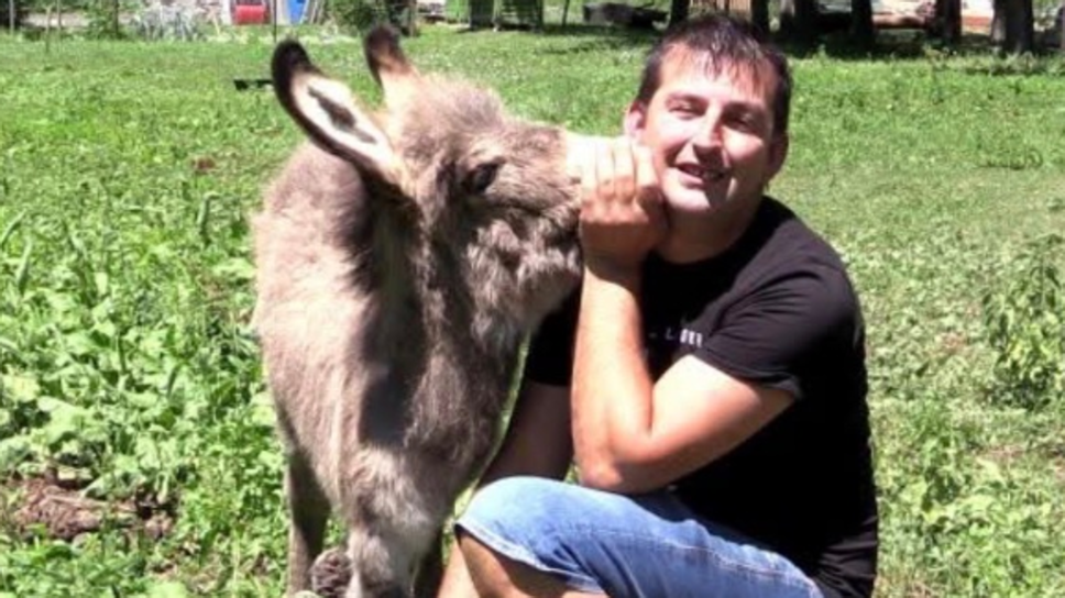 Villa di Tirano, è morto Forrest: l’asinello che aveva commosso tutti